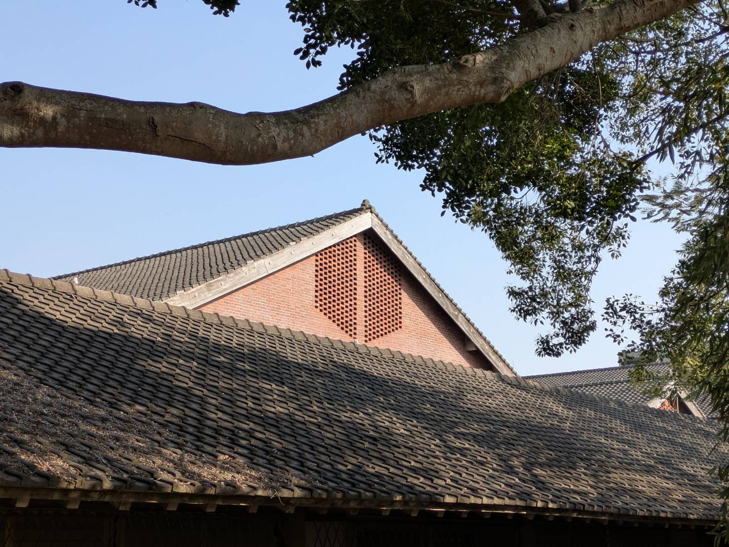 翻轉教育新模式，東海大學如何打造AI時代產業即戰人才？